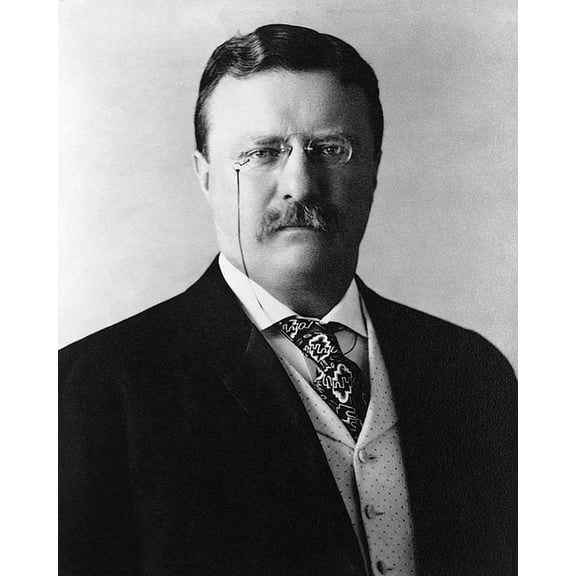 President Theodore Teddy Roosevelt - 12x18 Inch Laminated Poster - Stunning Detail and Bold Colors