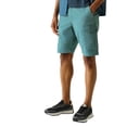 thumbnail image 4 of Regatta Mens Ruwan Casual Shorts, 4 of 5