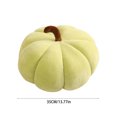 thumbnail image 3 of Yooshoverk Pumpkin Throw Pillow 13.77 Inches Decorative Cushion for Sofa and Bed Soft and Comfortable Seat Cushion for Patio Furniture Versatile Nap Pillow and Car Pillow, 3 of 4