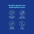 thumbnail image 4 of Naturel Promise Fresh Dental Cat Breath Freshener Water Additive for Cats, 18 oz Bottle, 4 of 9