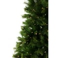 thumbnail image 4 of Christmas Time 6.5-Ft. Pennsylvania Pine Artificial Christmas Tree with Clear LED String Lights | Realistic High Quality PVC | Festive Holiday Decor for Home and Office | Flame Retardant, 4 of 4
