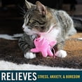 thumbnail image 4 of Our Pets OU13771 Play N Squeak When Pigs Fly Cat Toy, 4 of 5