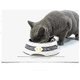thumbnail image 5 of Stainless Steel Dog and Cat Food Bowl, Large Dog Food Water Bowls, Removable Cat Dog Feeders, 5 of 5