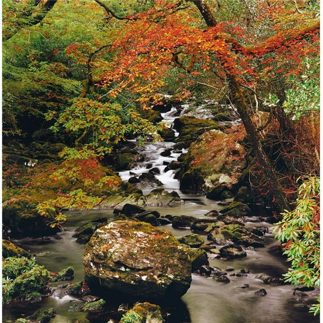 Posterazzi DPI1803054LARGE Stream Near Glengariff Co Liège Irlande Poster Print by The Irish Image Collection, 24 x 24 - Grand