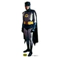 thumbnail image 2 of Advanced Graphics 2056 68 x 25 in. Robin - 1969 TV Series - Batman & Robin Cardboard Standup, 2 of 3