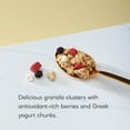 thumbnail image 4 of Nature's Path Organic Granola, Summer Berries, 11oz Pouch, 4 of 7