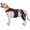 XL, variant on Dog Hind Leg Joint Brace, Adjustable Support Wrap with Stabilizer Strips for Canine Rear Leg Mobility Assistance, S
