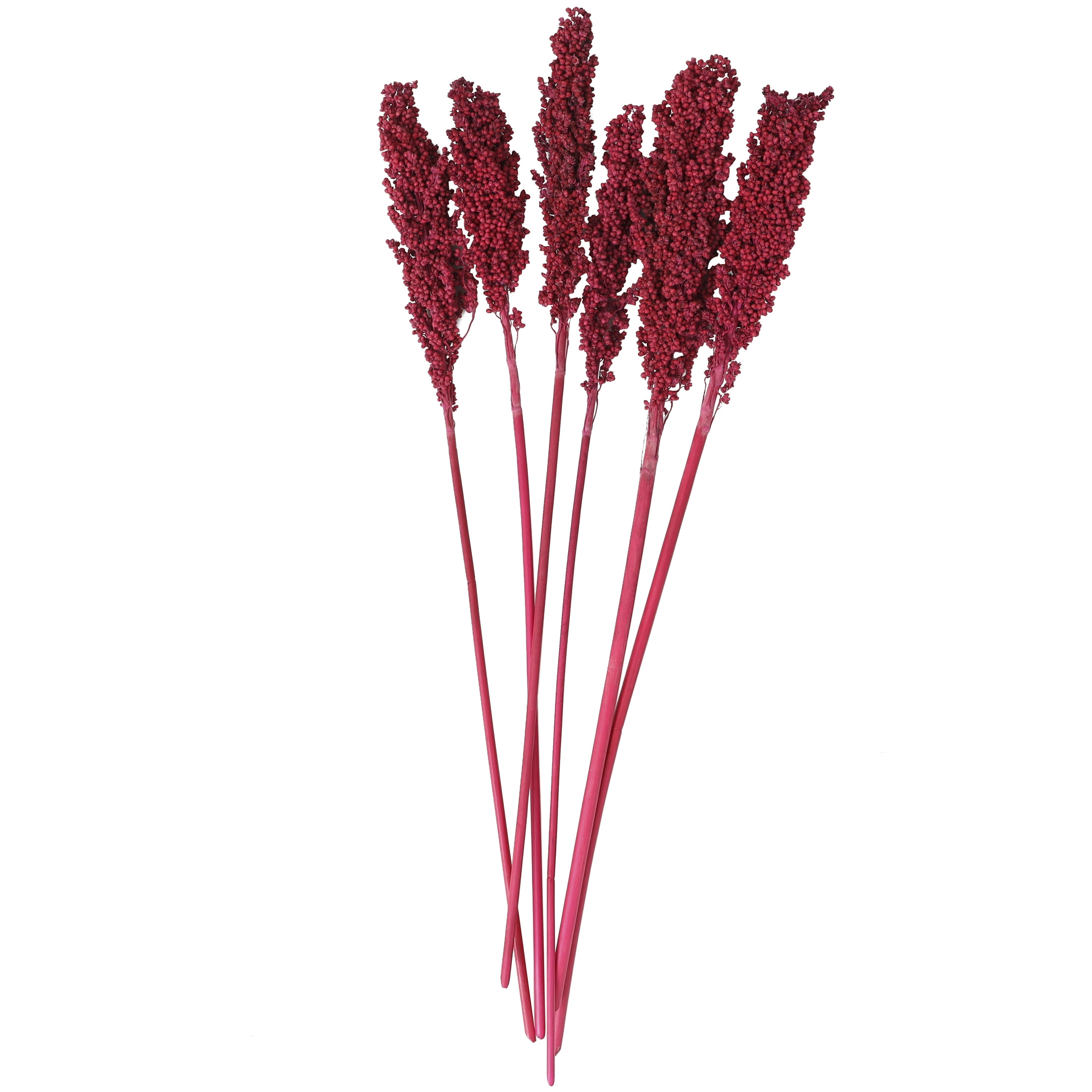30" Dried Plant Natural Foliage Corn Maze Bouquet with Long Stems, by DecMode
