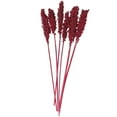 thumbnail image 5 of 30" Dried Plant Natural Foliage Corn Maze Bouquet with Long Stems, by DecMode, 5 of 7