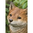 thumbnail image 2 of Hi-Line Gift 87719-E Fox Pup Sitting Statue, 2 of 6