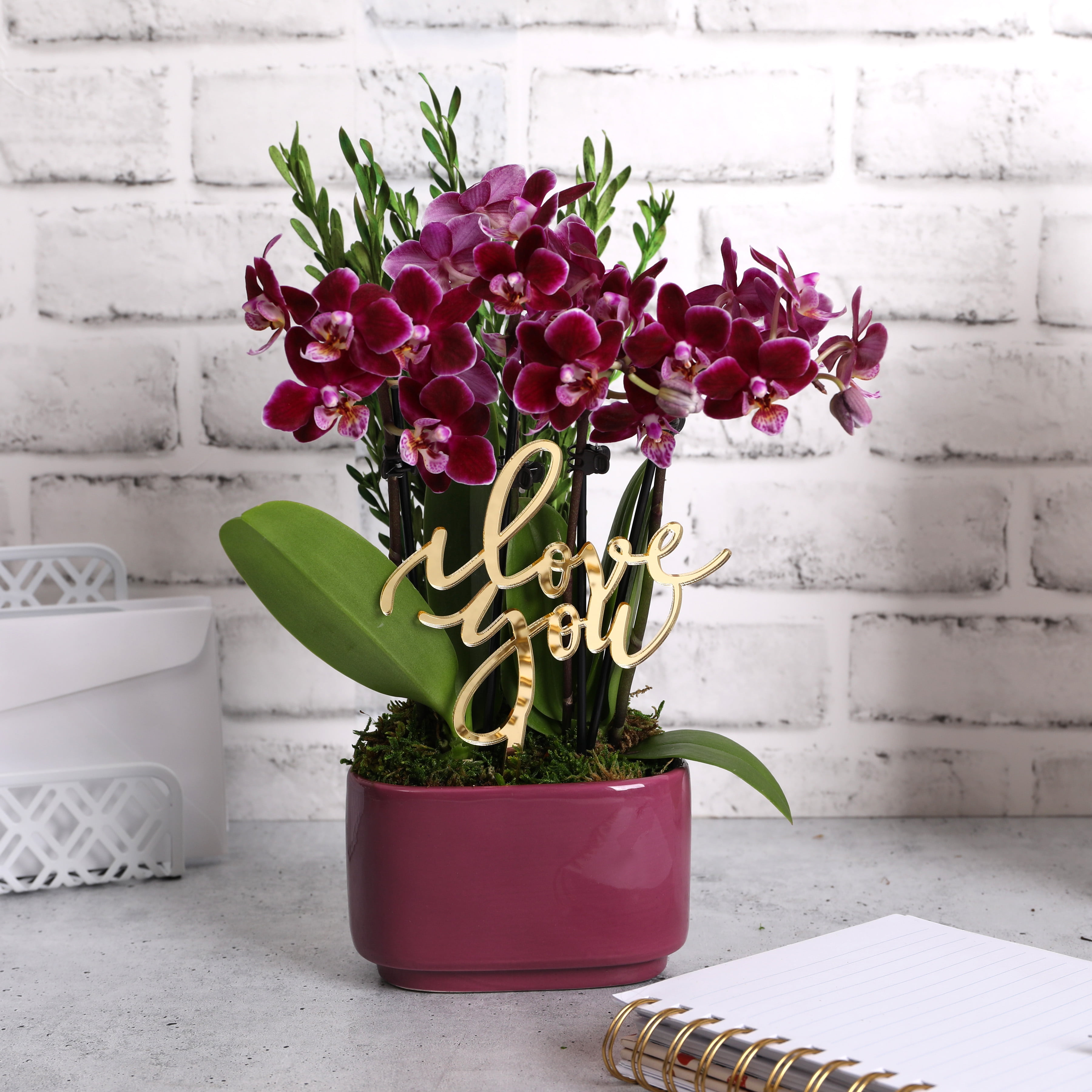 4IN Dark Purple Love You Orchid Garden with Preserved Green Stems- Dark Purple Jan