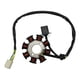 thumbnail image 1 of Inducido 8 Bobinas Vento Nitrox 250 T2 (Cadena Tiempo) (20), 1 of 3