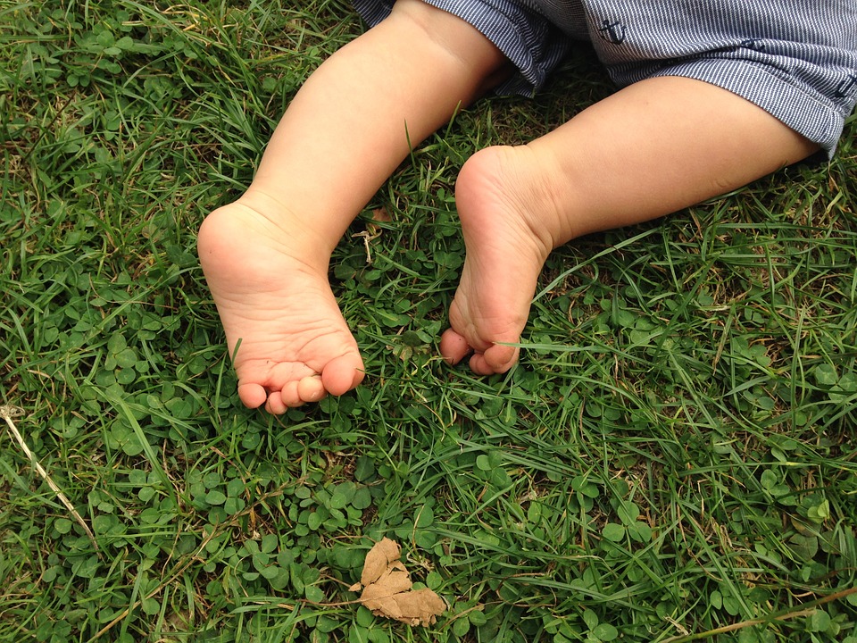 Baby Feet Nature20 Inch By 30 Inch Laminated Poster With