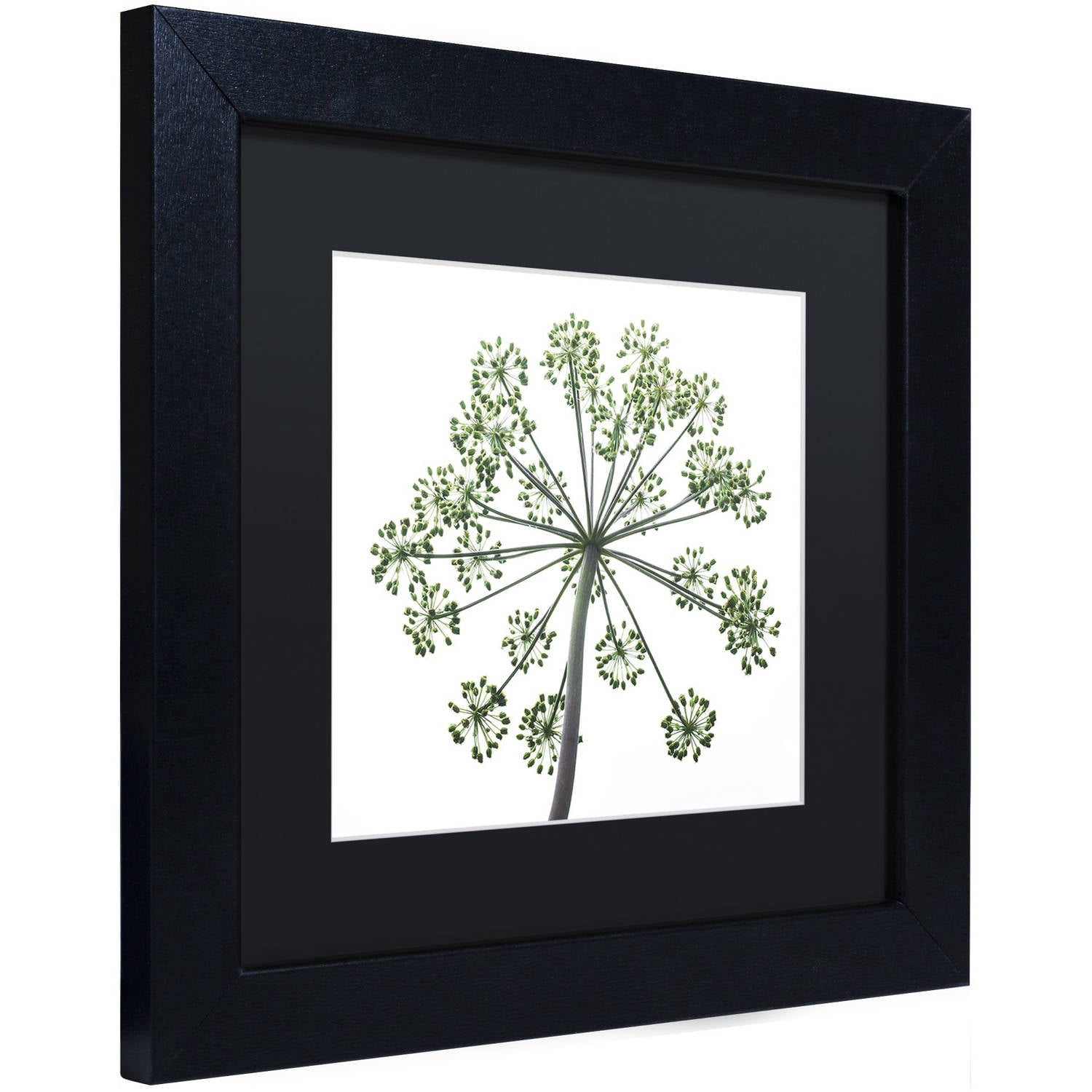 Trademark Fine Art "Nature's Amazing Wonder" Canvas Art by Kurt Shaffer, Black Matte, Black Frame