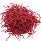 thumbnail image 2 of Señuelos de gusanos blandos de pesca Sonducket PVC 100 piezas, 2 of 6