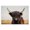 Black Highland Cow, variant on Stupell Industries Farmhouse Peaceful Cattle Rural Open Farmland Gold Floating Frame Canvas Art, 31 x 25, by Dakota Diener
