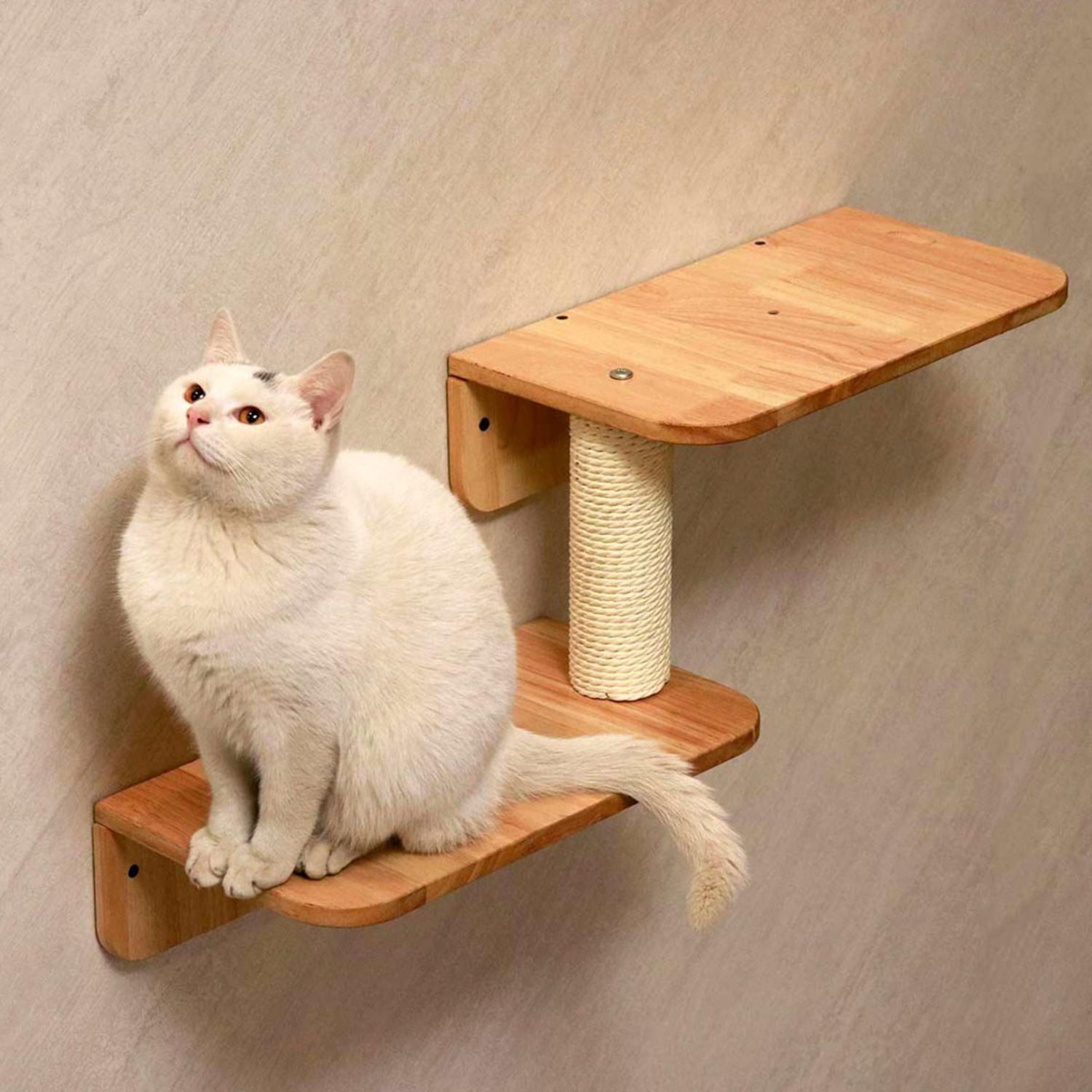 PETOMG Cat Shelf Wall, Cat Climbing Wall, DIY Cat Shelves | Cat Wall Mounted Set | Rubberwood
