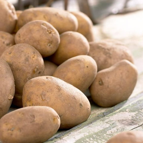 Potato Gold Rush (2 KG), Good for baking