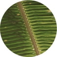 thumbnail image 1 of Ahgly Company Machine Washable Indoor Round Transitional Dark Forest Green Area Rugs, 6' Round, 1 of 7