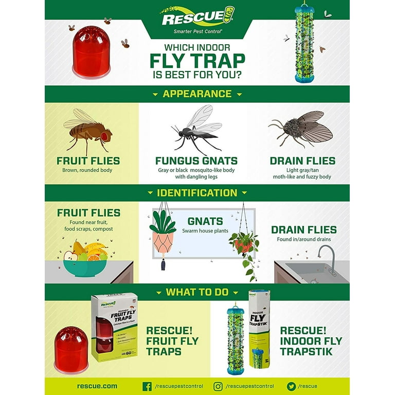 RESCUE! Fruit Fly Trap Attractant Refill 30 Day Supply 10 Pack 