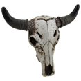 thumbnail image 1 of DLC 12851 Steer Bull Cow Skull Wall Mount & Table, 1 of 1