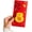 E, variant on D Spring Festival Red Envelopes For 2026 Chinese New Year Lucky Money Traditional Hong Bao For Celebration