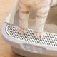 thumbnail image 5 of 2xPet Toilet Pan Caja De Arena Para Gatos Para Caja De Arena Suministros Pequeños Animales Gris Yuyangstore none, 5 of 8
