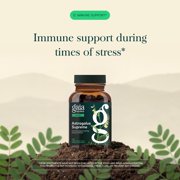 Gaia Herbs Astragalus Supreme - Immune & Antioxidant Support* - Herbal Supplement with Astragalus Root, Schisandra Berry & Ligustrum - 120 Vegan Liquid Phyto-Caps (60 Servings)