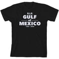 thumbnail image 3 of RIP Gulf of Mexico 1607-2025 Youth Black Crew Neck Short Sleeve Tee-Medium, 3 of 4