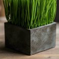 thumbnail image 6 of Faux Grass in Black Pot, 6 of 10