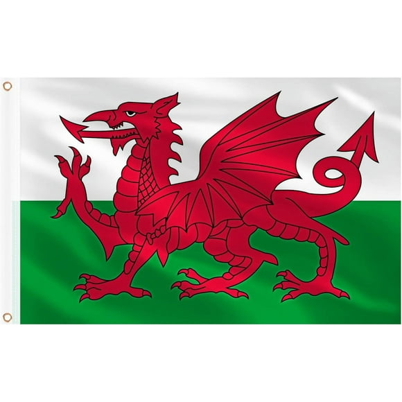 shiyou-Wales Flag 3x5 Ft, Large Wales Flag for Outside - Double Side with Brass Eyelets for Olympic Party Decorations, Bar Garden Street Decoration Indoor Outdoor
