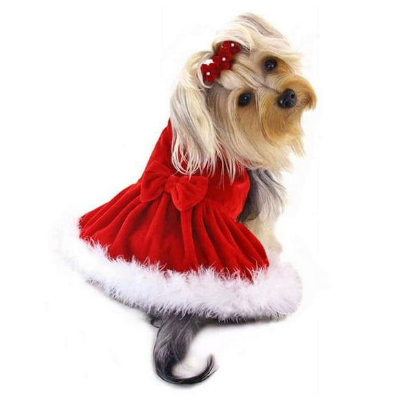 Elegant Velvet Christmas Dress With Furry Trims, Extra Small