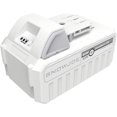 thumbnail image 1 of Snow Joe Batterie au lithium-ion de 5,0 Ah et 24 V, 1 of 4