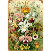 1904 Orchids Bouquet Metal Sign - 7x10 inch - Vintage Look