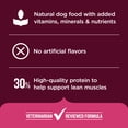 thumbnail image 6 of Rachael Ray Nutrish High Protein Adult Dry Dog Food, 4 Lb. Bag, 6 of 11