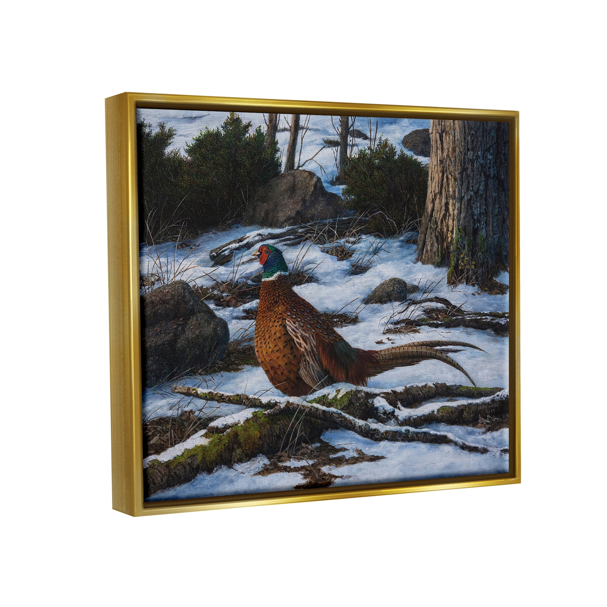 Stupell Industries Pheasant in Snowy Woods Animals & Insects Painting Gold Floater Framed Canvas Art Print Wall Art, 31 x 25