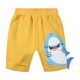 thumbnail image 1 of Huesdet Running Athletic Cotton Shorts, Kids Baby Workout and Fashion Dolphin Summer Beach Sports(D,6-7 Years), 1 of 9