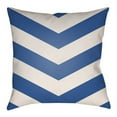 thumbnail image 7 of Indoor Outdoor LTCH1005-2020 Square 20" x 20" Pillow Cover + Polyfill, 7 of 7