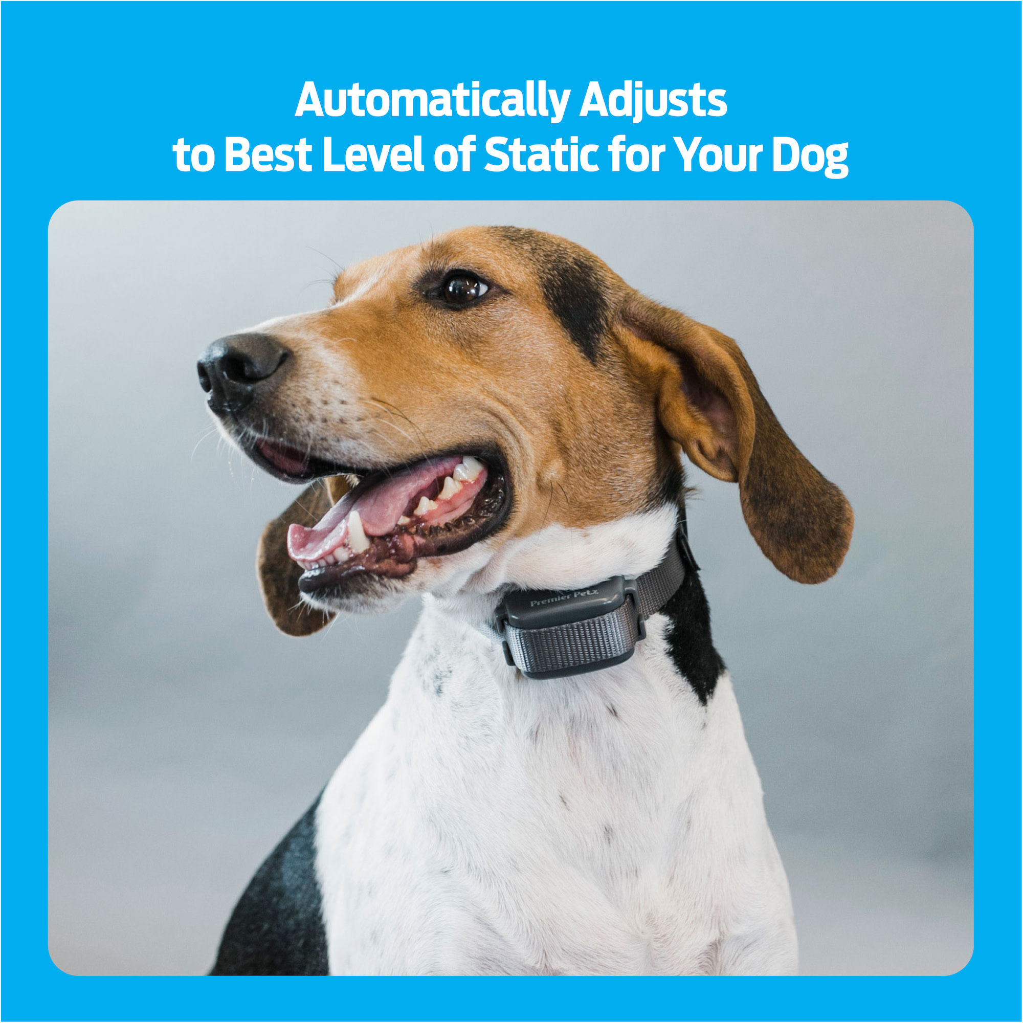 Premier Pet Bark Collar: Discourages Barking for All Size Dogs, Adjustable, Water Resistant, Gentle Static Correction, Low Battery Indicator, No Programming Required - image 5 of 14