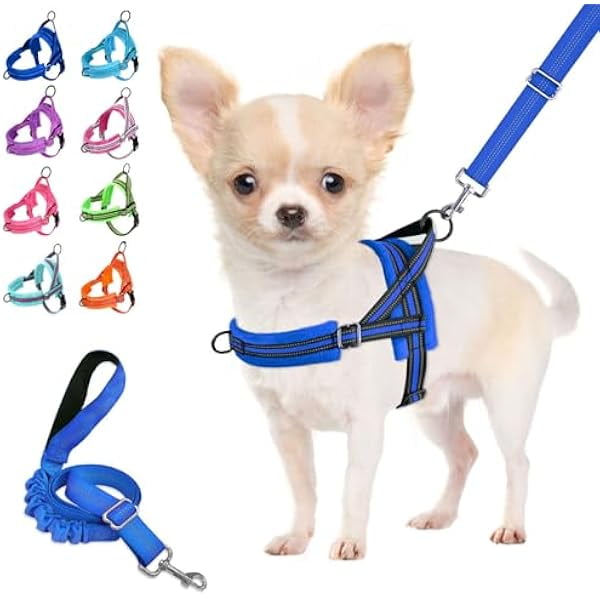 wonima02 No Pull Dog Harness and Leash Set, Soft Padded Small Dog Harness, Neck & Chest Adjustable Reflective Vest Puppy Harness with 4ft Lightweight Anti-Twist Dog Leash for Small Dogs (S, Blue)