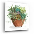 thumbnail image 2 of Epic Art 'Terracotta Succulents I' by Cindy Jacobs, Acrylic Glass Wall Art, 12"x12", 2 of 13