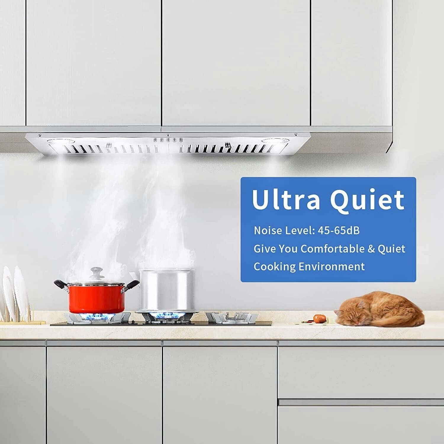 30 inch Built-in Range Hood 600CFM 120V-Stainless with LED Lights & Dishwasher-Safe Filter