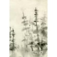 thumbnail image 3 of Caroline, Emma 11x14 Black Modern Framed Museum Art Print Titled - Foggy Pine Forest I, 3 of 5