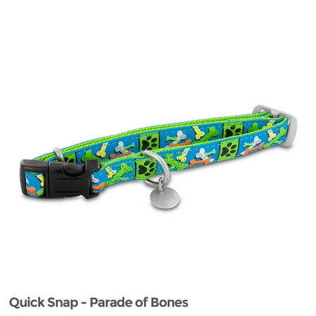 PetSafe Bark Avenue Quick Snap Buckle Pet Dog Collar (Large  Parade of Bones)