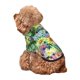 thumbnail image 5 of Fotbe Watercolor Blooming Cactus Sudadera con Estampado para Perros Pequeños – Suéter con Capucha para Mascotas, Tela Suave de Forro Polar con Bolsillo-Large, 5 of 7