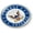 Flexible, variant on BestLicensePlateFrames - U.S. Navy Combat Veteran 3D Domed CAR Emblem Badge Sticker Flexible - Official U.S. Navy Licensed Product
