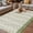 Green Grey, variant on Green Floral Outdoor Rug for Patio/Deck/Porch, Non-Slip Large Area Rug 6 x 9 Ft, Spring Flowers Indoor Outdoor Rugs Washable Area Rugs, Reversible Camping Rug Carpet Runner