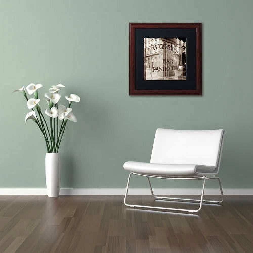 Trademark Fine Art "Firenze V" Canvas Art by Alan Blaustein, Black Matte, Wood Frame