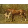 thumbnail image 3 of Sidney, Samuel 18x14 Black Modern Framed Museum Art Print Titled - Thoroughbred Mare and Foal, 1900, 3 of 5