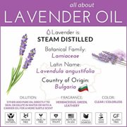Lavender Oil (15ml) - 100% Pure Unrefined Natural Essential Oil Aromatherapy